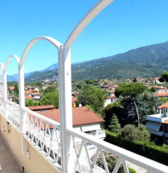 Foto annuncio 40