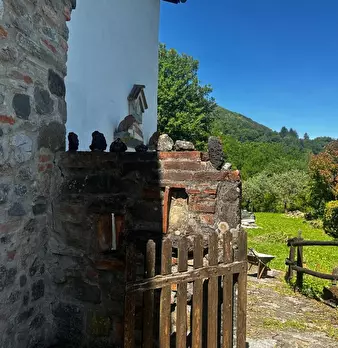 Foto annuncio 29