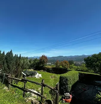 Foto annuncio 31