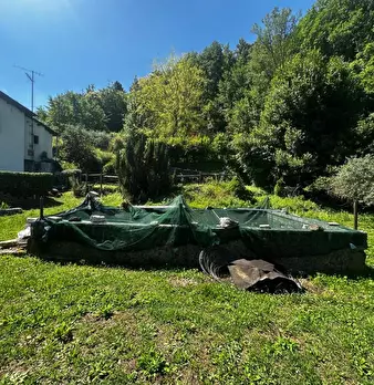 Foto annuncio 6
