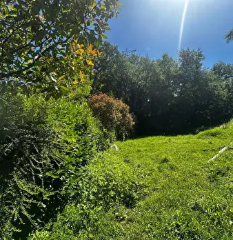 Foto annuncio 9