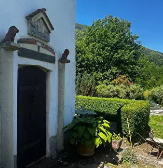 Foto annuncio 28