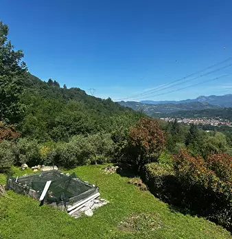 Foto annuncio 8