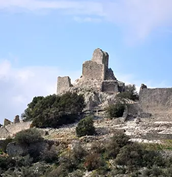 Foto annuncio 11