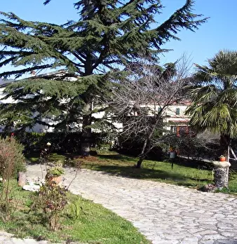 Foto annuncio 4