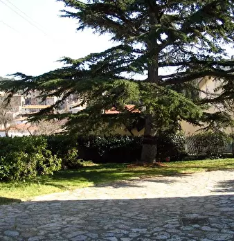 Foto annuncio 7