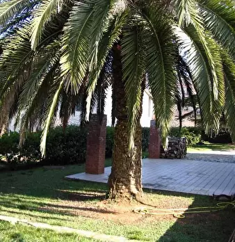 Foto annuncio 9