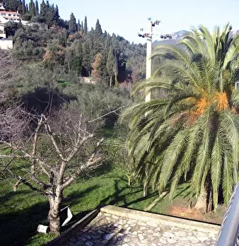 Foto annuncio 5