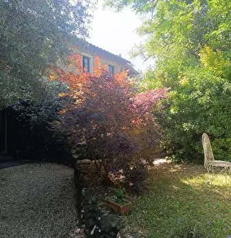 Foto annuncio 9