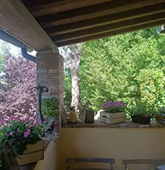 Foto annuncio 52