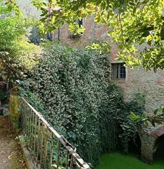 Foto annuncio 3