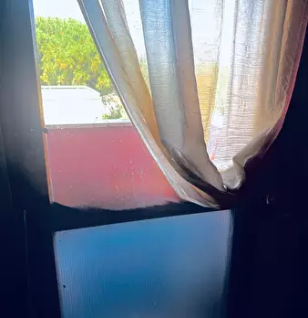 Foto annuncio 12