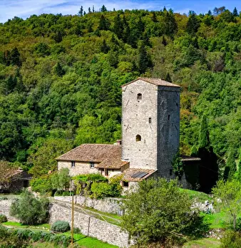 Foto annuncio 9