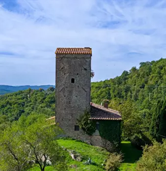 Foto annuncio 10