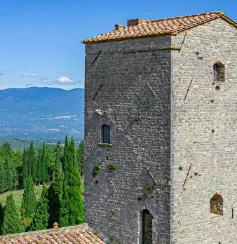 Foto annuncio 5