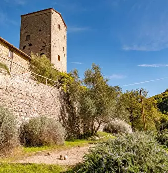 Foto annuncio 18