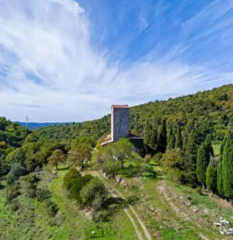 Foto annuncio 11