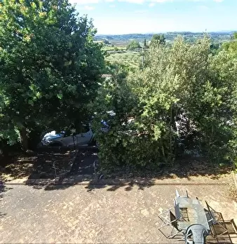 Foto annuncio 29