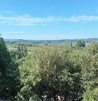 Foto annuncio 30