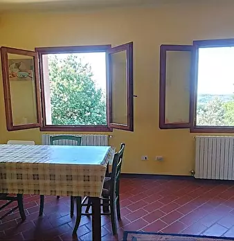 Foto annuncio 19