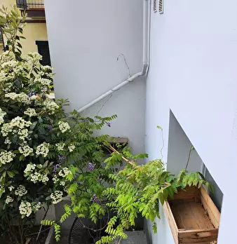 Foto annuncio 34