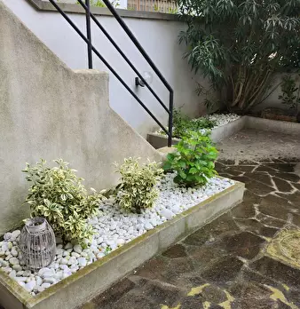 Foto annuncio 38