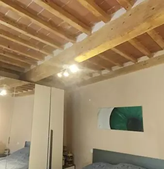 Foto annuncio 11