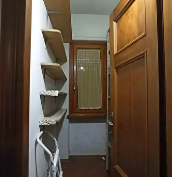 Foto annuncio 32