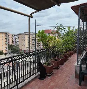 Foto annuncio 31