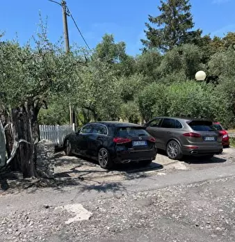Foto annuncio 83