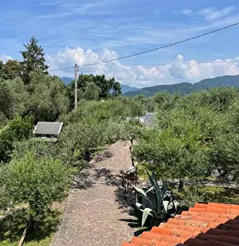 Foto annuncio 14
