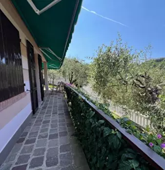 Foto annuncio 9