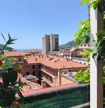 Foto annuncio 5