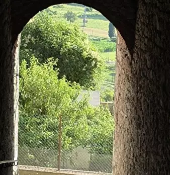 Foto annuncio 22