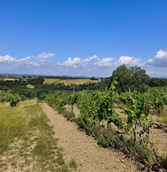 Foto annuncio 18