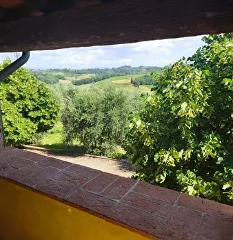 Foto annuncio 10