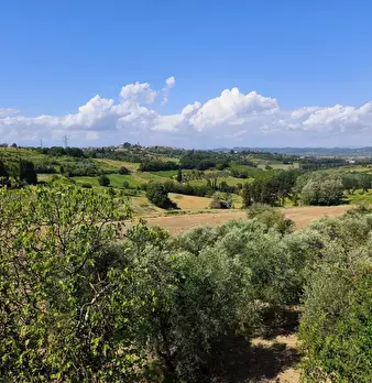 Foto annuncio 4