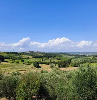 Foto annuncio 16