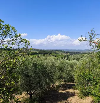 Foto annuncio 25