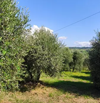 Foto annuncio 27