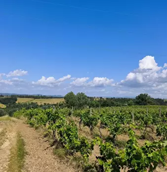 Foto annuncio 22