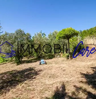 Foto annuncio 8