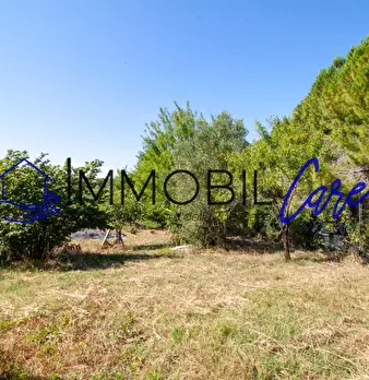 Foto annuncio 11