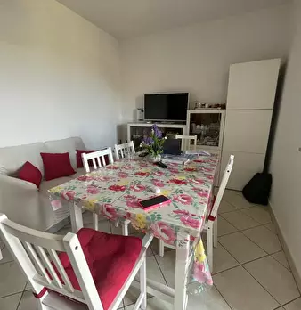 Foto annuncio 7