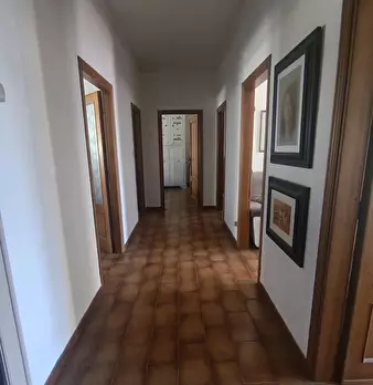 Foto annuncio 35