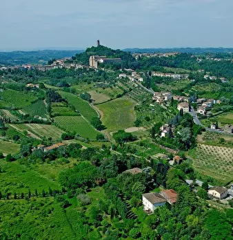 Foto annuncio 11