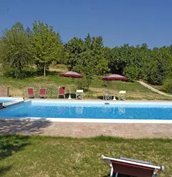 Foto annuncio 7