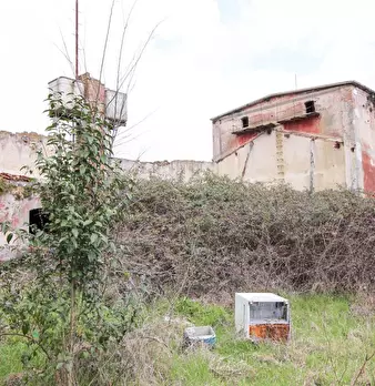 Foto annuncio 13