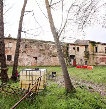 Foto annuncio 14