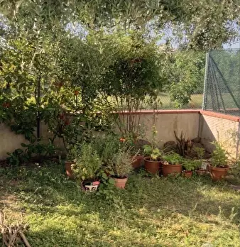 Foto annuncio 2